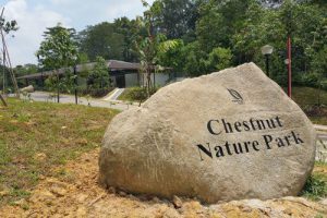 Chestnut Nature Park