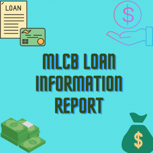 MLCB Loan Report